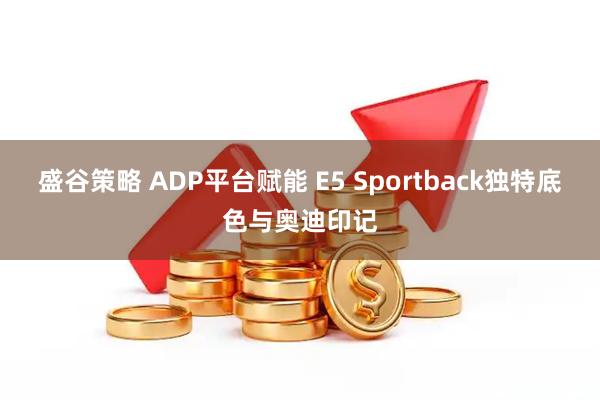 盛谷策略 ADP平台赋能 E5 Sportback独特底色与奥迪印记