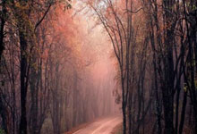 新手短线股票技巧:股票交易网上开户流程-九三阅兵重磅武器来了！DF61导弹、歼20S震撼亮相 东风5C打击范围覆盖全球